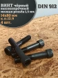 Винт мелкая резьба чёрный к.п.12.9 14х80х1,5 DIN912, 4 шт.