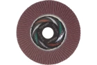 Круг лепестковый плоский 180х22 мм A 60 КЛТ1 Луга