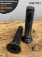 Винт потайной под шестигранник 20х100 DIN7991 к.п.10.9, 2шт