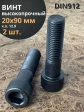 Винт высокопрочный НР М20х90 мм к.п.12.9 черный DIN912, 2 шт.