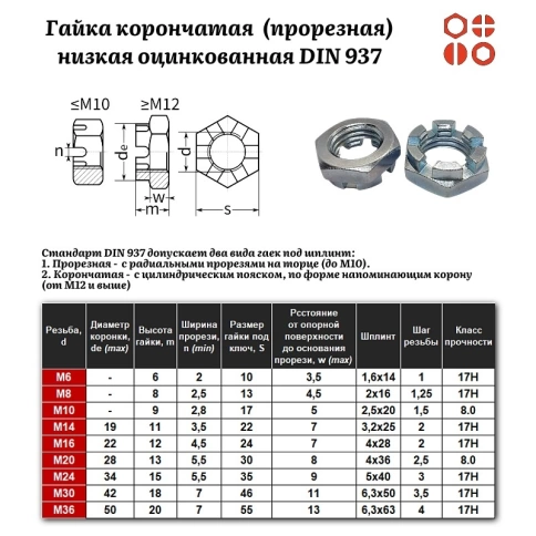 Гайка корончатая (прорезная) низкая М8 DIN 937-1 (17H) оцинкованная, 500 шт. фото 3