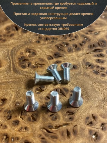 Винт потайной оцинкованный 3х8 DIN965, 100 шт. фото 4