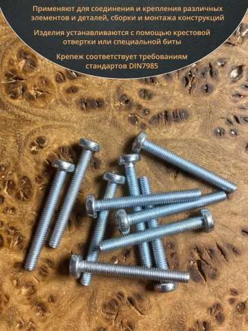 Винт с полукруглой головкой М3х25 ОЦ DIN7985, 10 шт. фото 4