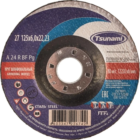 Круг зачистной металлический 125х6х22 мм A 24 R BF L THUNAMI фото 1