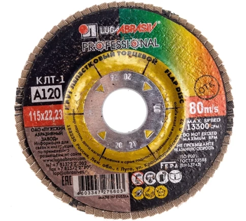 Круг лепестковый плоский A 120 КЛТ1 Луга фото 4