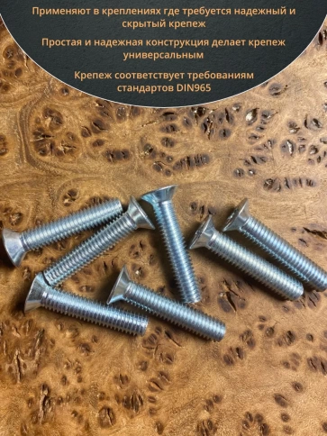 Винт потайной оцинкованный 6х25 DIN965, 10 шт. фото 4